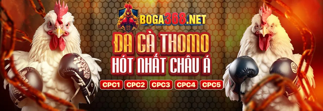 Hình ảnh chào mừng đăng ký Mig8 APK